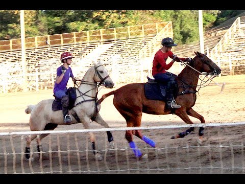POWAY POLO CLUB TUES CHUKKERS 2 (6-20-2017)