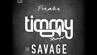 Timmy Trumpet Freaks (Radio Edit)