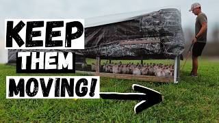 Rotating Livestock: 2 Reasons You Should Start