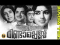 Mindapennu 1970 Malayalam Full Movie Prem Nazir Sharada Sheela Central Talkies