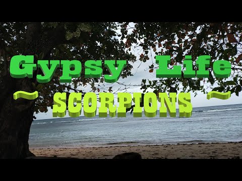 Gypsy Life Scorpions lyrics