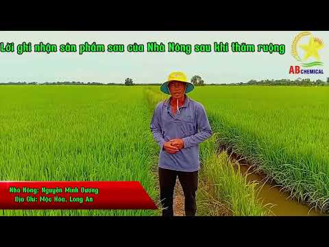 BIM USA + AB_SẠCH KHUẨN - BỘ ĐÔI TOÀN DIỆN, CHO MÙA VÀNG BỘI THU!
