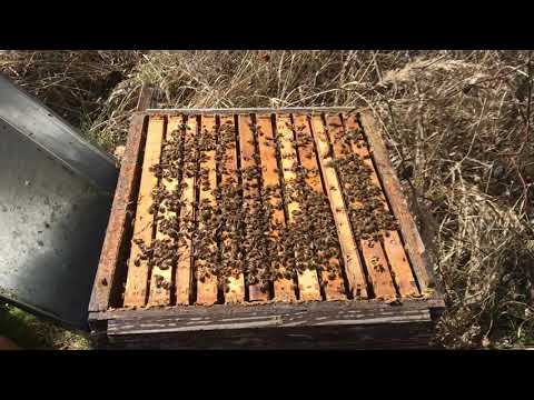 So geht es weiter nach dem schieden