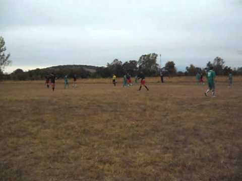 real brosteni  floresti 1