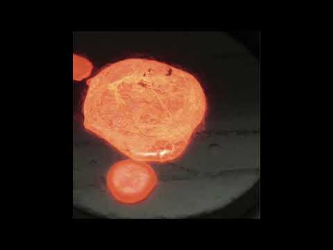 Lotus Eater (Lucy & Rrose) - Plasma (Full Album)