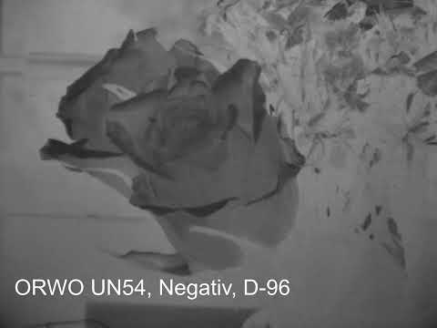 Experimente mit ORWO UN54 (16mm)
