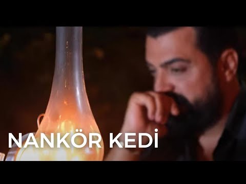Nankör Kedi - Cihan Yıldız