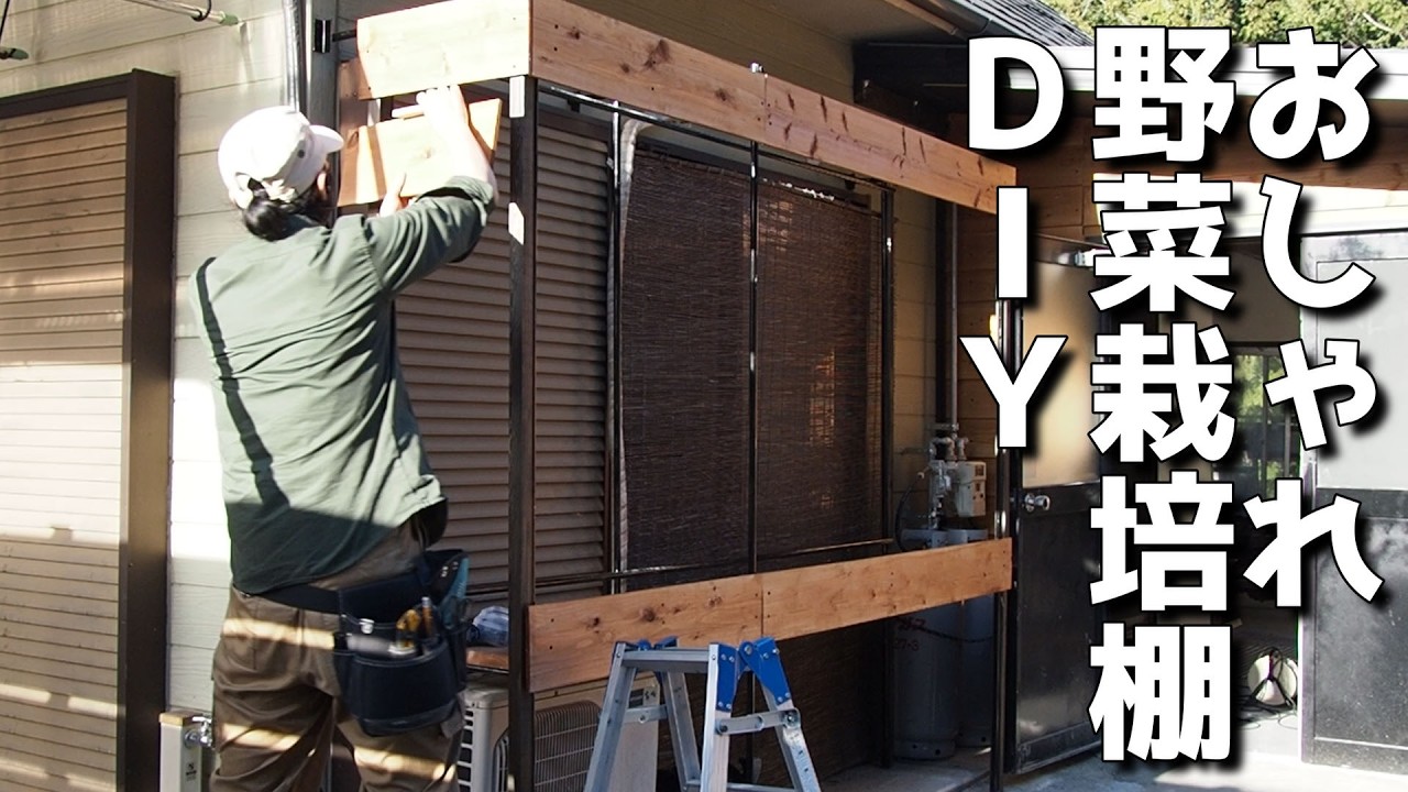 【40代無職バツイチ家を買う#148】このおしゃれ栽培棚なら良い野菜が育ちそうだぜ