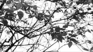 Boards Of Canada- Turquoise Hexagon Sun