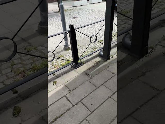 1352523 Iron fence 16 sections of 240 cm