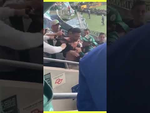 Flamenguista foi cercado e agredido por torcedores do Palmeiras #shorts