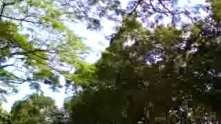 Download lagu PRSS 3E8'09 English Project mp3 Download lagu PRSS 3E8'09 English Project mp3