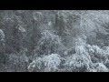 Frank Sinatra Let It Snow