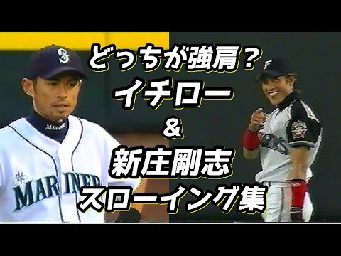 IUCN分類における絶滅の危険性を示す図。