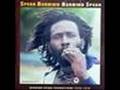 Burning Spear - Dry and Heavy