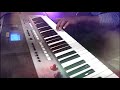 Pardesiya Instrumental Cover