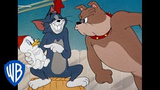 Download lagu Tom y Jerry en Español | Dibujos Animados Clásicos Compilación Tom, Jerry y Spike | WB Kids mp3 Download lagu Tom y Jerry en Español | Dibujos Animados Clásicos Compilación Tom, Jerry y Spike | WB Kids mp3