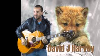 Turn me on again (Nerina Pallot cover)-David J Harvey