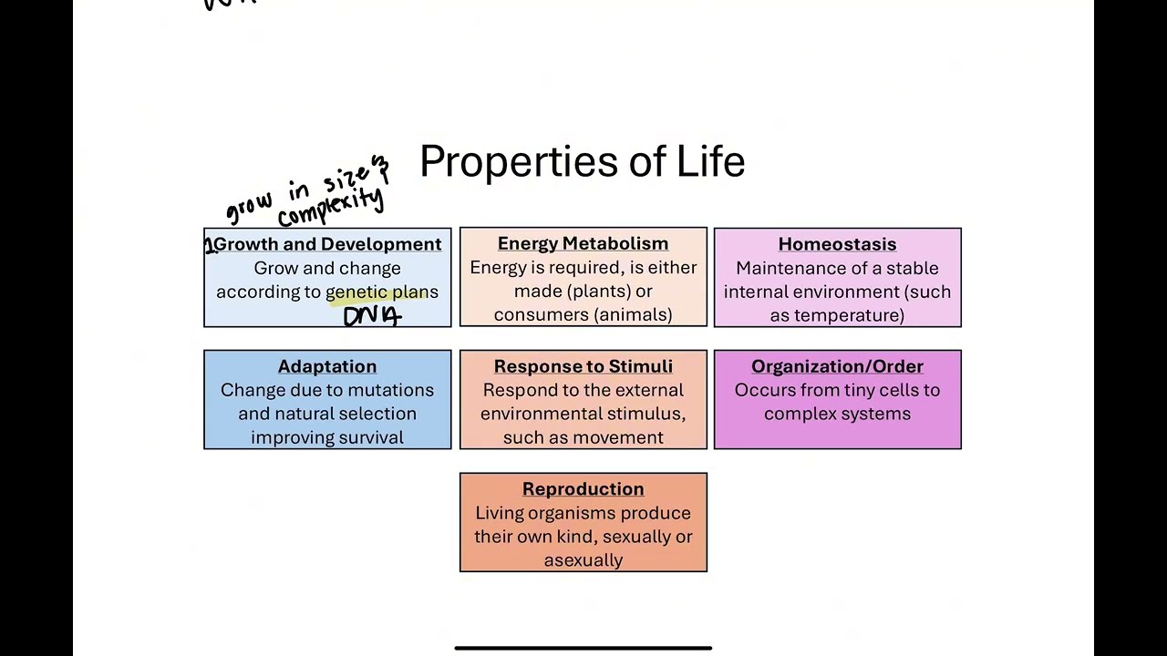 Biology I Final Exam Review: Chapter 1 in 15 minutes!