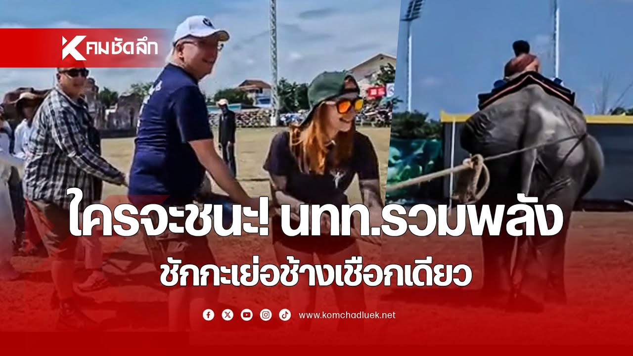 ใครจะชนะ! นทท.รวมพลังนับร้อย ชักกะเย่อช้างเชือกเดียว