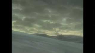 Wolf's Rain AMV- Burn You Up, Burn You Down