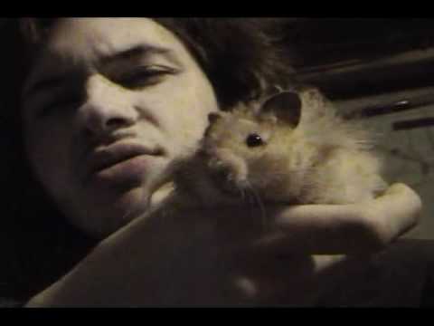 Mannimarco AKA Adam Sapphire - FOR THE HORDE! 2 (Burning Crusade)