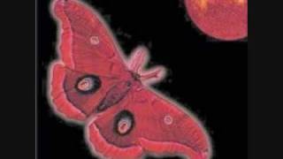 Karnataka - Delicate Flame Of Desire