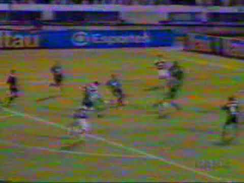 Jorge Luís   Santa Cruz 3x2 Palmeiras   Brasileiro 2001