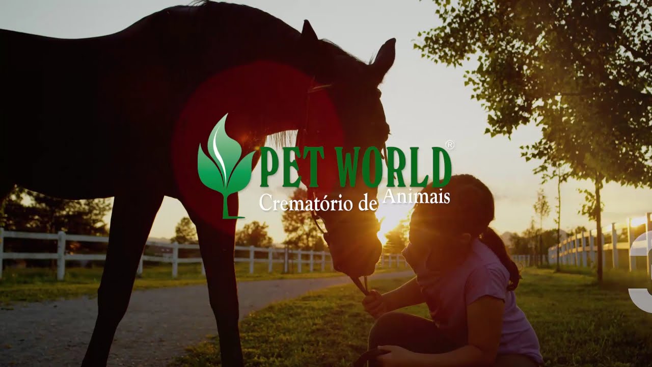 Vídeo Pet World