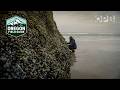 Learn To Harvest Food From The Wild Oregon Coast Oregon Field Guide