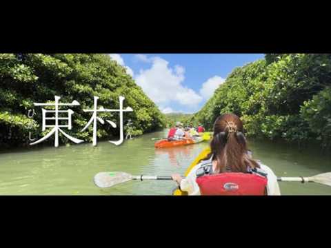 東村って？【沖縄デジタル映像祭2024受賞作品】