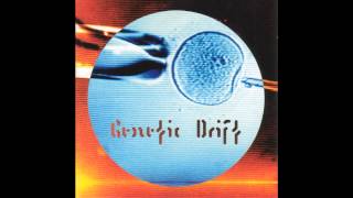 From Within 2 - Hidden 2 (Ambient 1996)