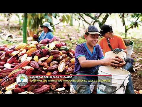 Más Desarrollo para el Campo. Reactivan los Proyectos Productivos en el Valle del Zapote, video de YouTube