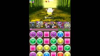 [Puzzle & Dragons] Paradise Of The Holy Beasts - Pandora Team
