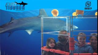 DIA 3 Expo Tiburon178