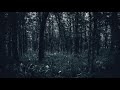 Burzum - The Crying Orc (Ambient Remix) - Mist Eerie Burzum - The Crying Orc (Ambient Remix)