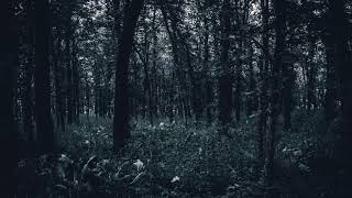 Burzum - The Crying Orc (Ambient Remix)