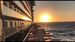 Let's Be Cruise Partners!