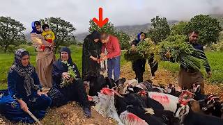 Download lagu An exciting picnic to do different things mp3