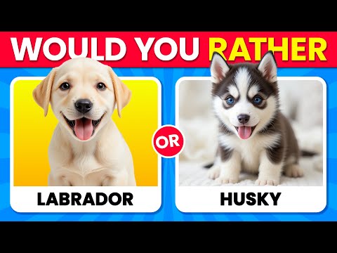Would You Rather...? DOGS Edition 🐶🐾 Which Dog is Cuter? ❤️✨