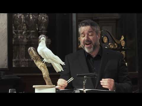 Adriaen Willaert - Missa ‘Mittit ad Virginem’: Agnus Dei