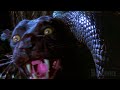 Anaconda VS Black Panther
