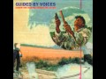 Guided by voices -  Finks