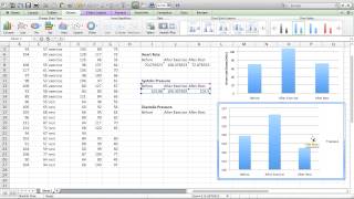 preview picture of video 'Making a column graph using Mac Excel 2011'