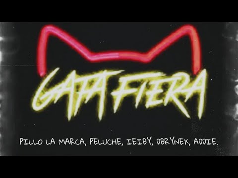 Peluche Nuevamente GATA FIERA REMIX  X ÍELBY MC, Pillo La Marca,DBrynex , Addie  VIDEO OFICIAL