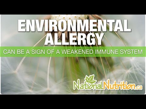 Allergies (Environmental)