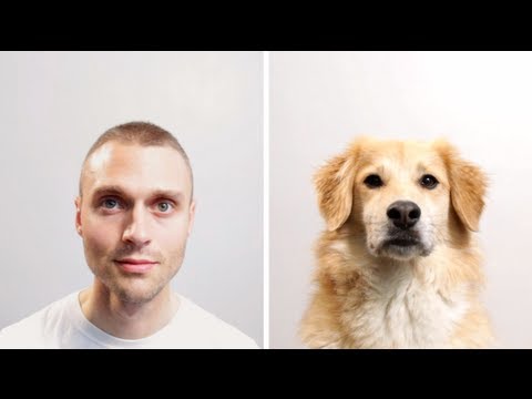 What Would Life be Like if You Were a Dog?