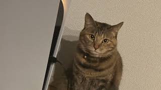 FC26 むばっぺ引く