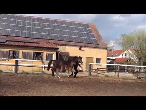 Quinta B - 18tage - Zuchthof Bahnemann