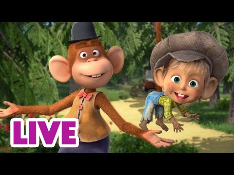 Capa de 🔴 AO VIVO 👱♀️🐻 Masha e o Urso 🏞️ O que aconteceu na floresta? 👀🤭 Masha and the Bear